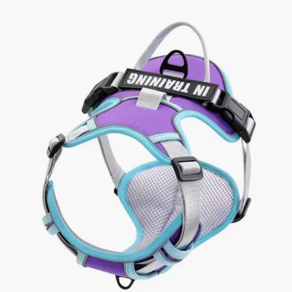Nylon Adjustable Dog Harness Personalized Dog Harness Vest Reflective Breathable Pet Harness Leash For Small Medium Large Dogs - Image 3