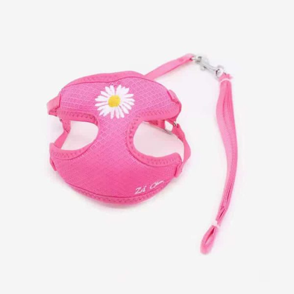 Korean Candy Color Embroidery Breathable Small Pet Dog Harness and Leash Set Soft Nylon Puppy Walking Vest for Chihuahua Yorkie - Image 3