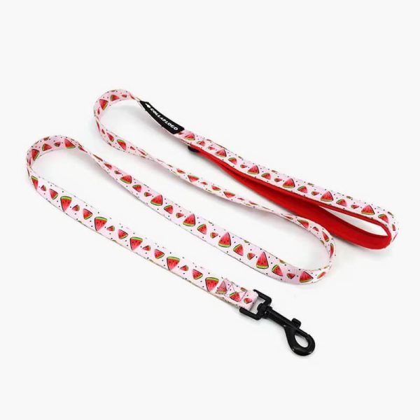Collarl Adjustable Pet Dog Collarlogo Durable Soft Cute Creative Watermelon Design Leash Neoprene Harness Poop Bag Dispenser - Image 5