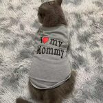 5pcs Feather Accessories Of Cat Stick Replace Cat Toy Teaser Stick Replacement Pet Toy photo review