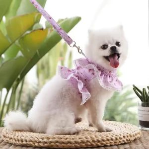 Cats and Dogs Pet Plush Dinosaur Toys Interactive Dog Chew Toys Plush Stuffing Pet Supplies Dog Toys for Small Dogs photo review